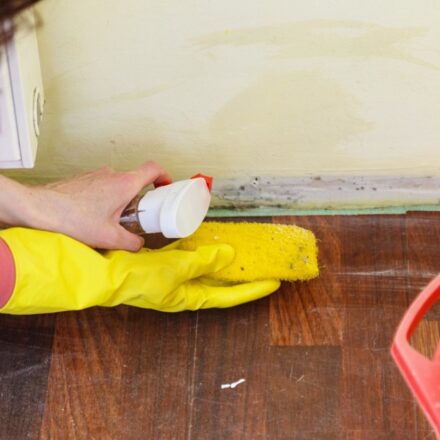 Vital Steps To Mold Remediation You Should Know Of