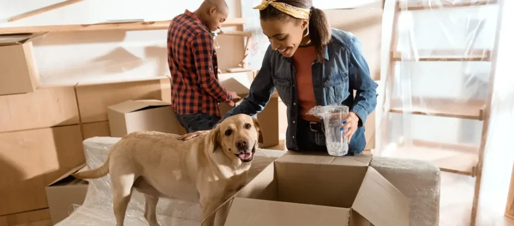 Moving With Pets, How to Keep Them Safe and Calm During Relocation